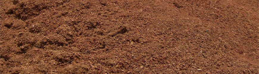 Why Coir Plus